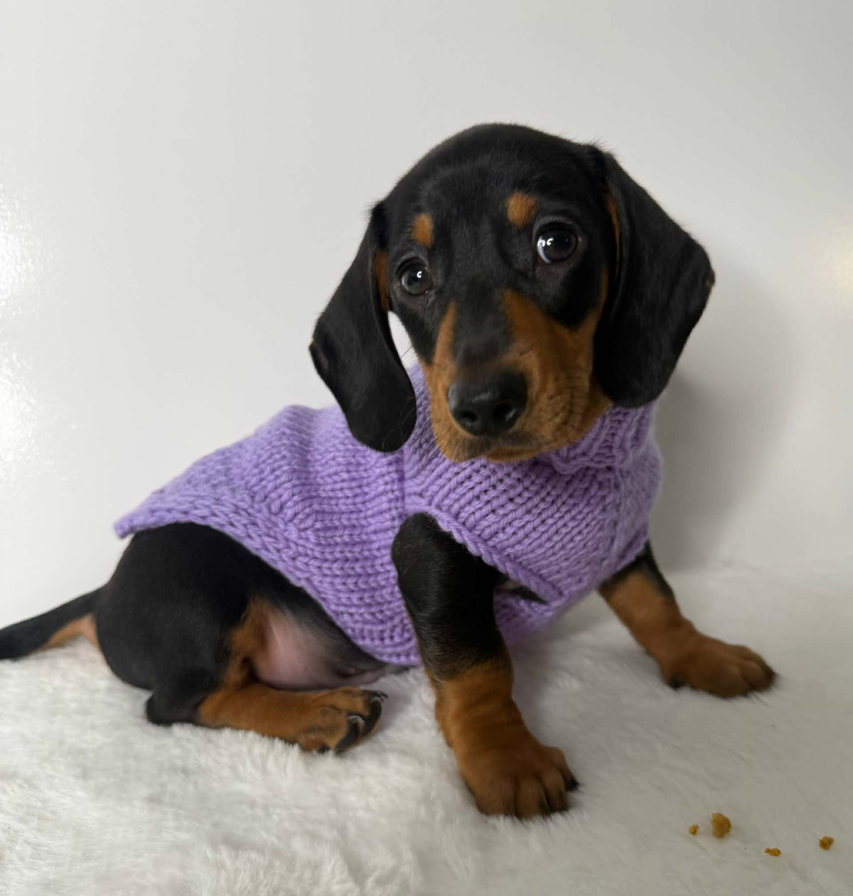 Handmade in Australia, Knitted woollen jumpers for dog, puppy, dachshunds, pet