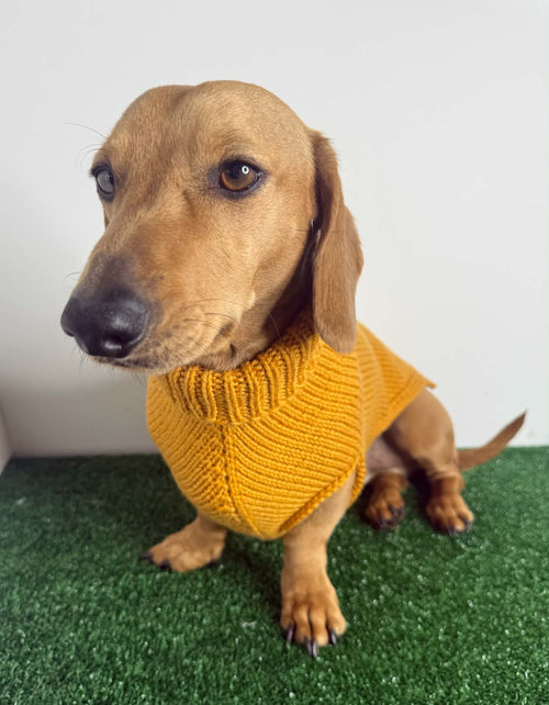 Handmade in Australia, Knitted woollen jumpers for dog, puppy, dachshunds, pet