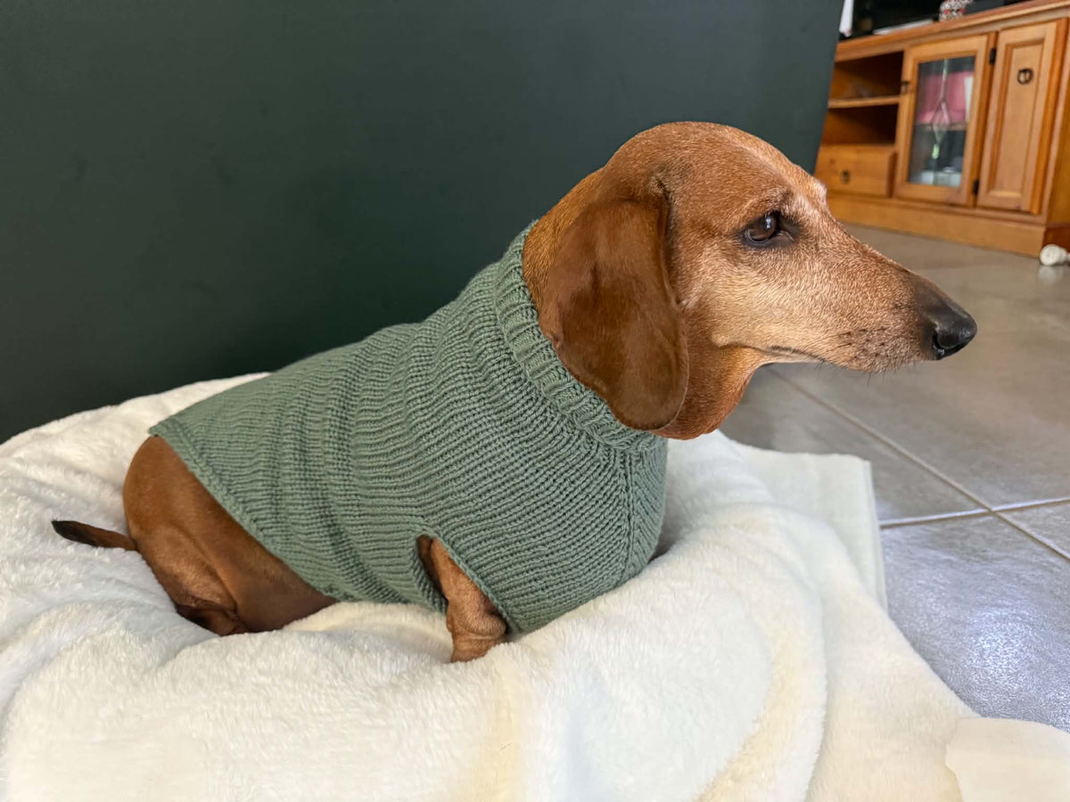Handmade in Australia, Knitted woollen jumpers for dog, puppy, dachshunds, pet