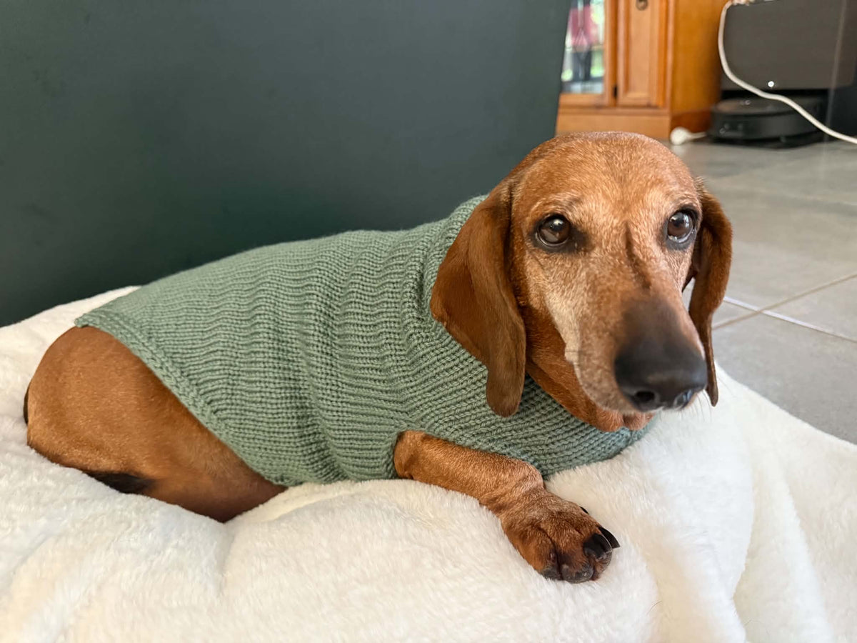 Handmade in Australia, Knitted woollen jumpers for dog, puppy, dachshunds, pet