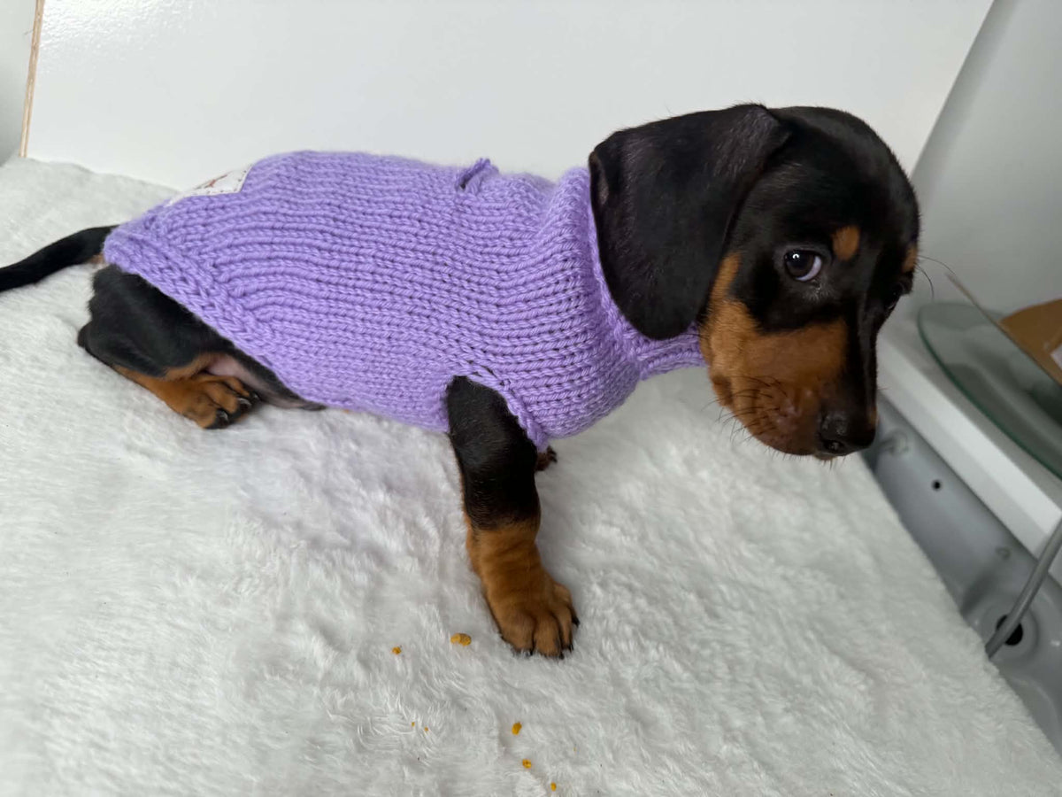 Handmade in Australia, Knitted woollen jumpers for dog, puppy, dachshunds, pet