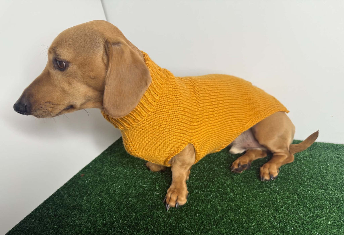 Handmade in Australia, Knitted woollen jumpers for dog, puppy, dachshunds, pet