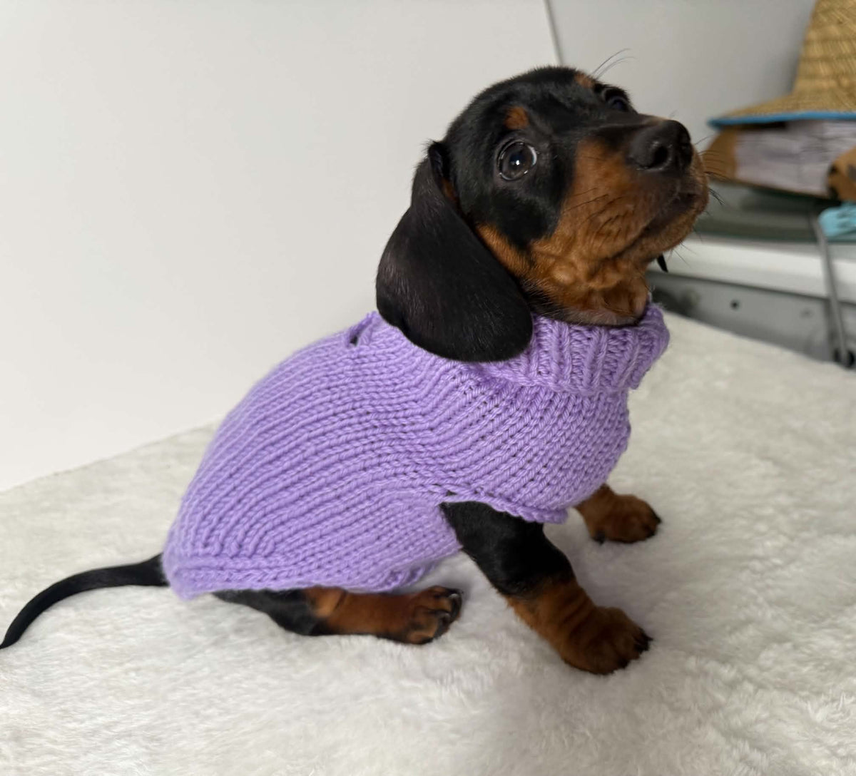 Handmade in Australia, Knitted woollen jumpers for dog, puppy, dachshunds, pet