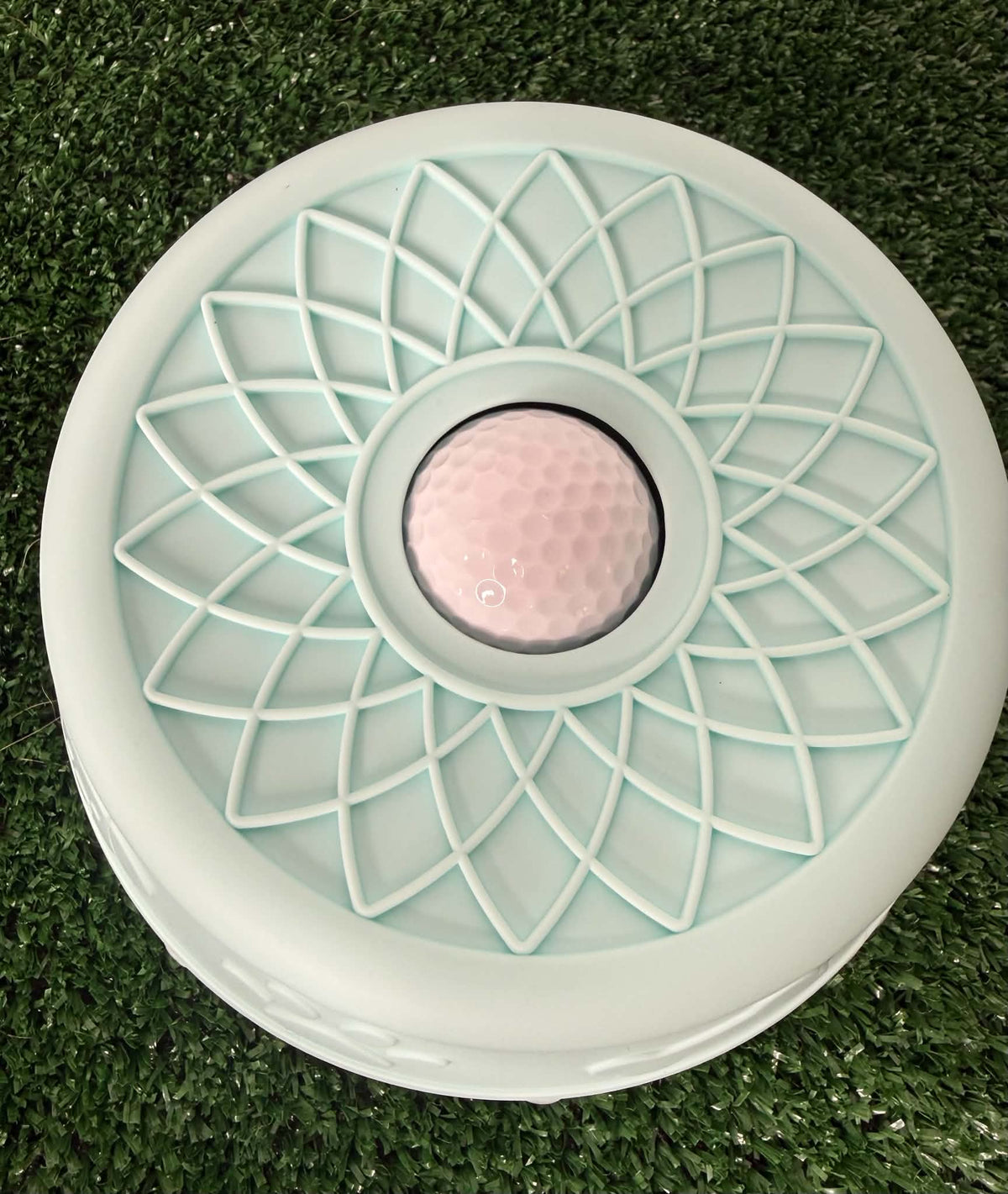 Interactive Enrichment Lick Bowl for dog or pet